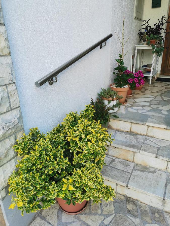 Bugenvila Rogoznica  Extérieur photo